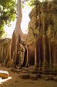 Angkor D1 361